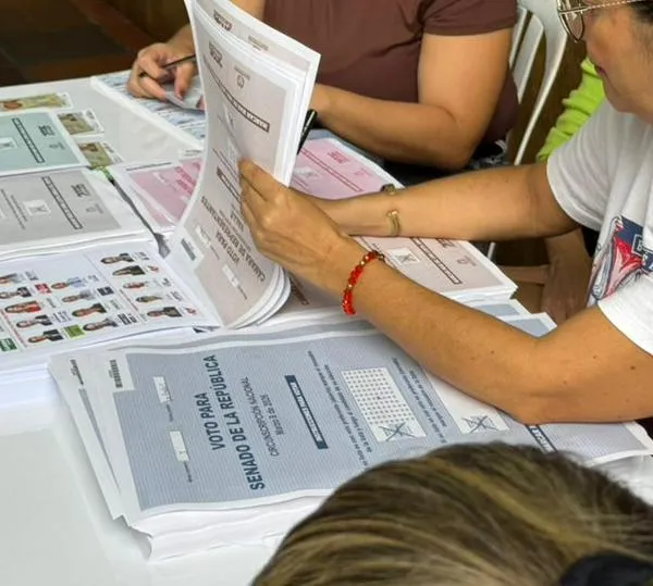 ¿Puede un jurado de votación ser nuevamente elegido para las próximas elecciones?