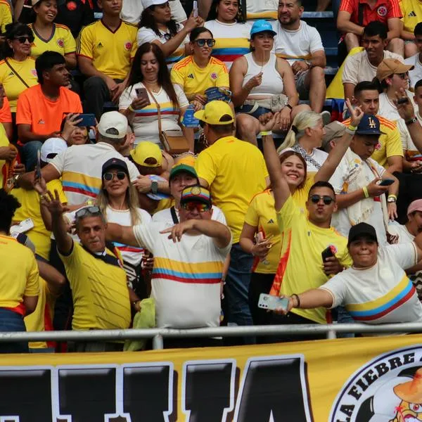 Hinchas Selección Colombia