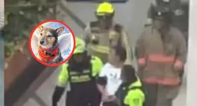 El dueño de Tony, el perro arrojado desde un edificio en Kennedy, rompe el silencio. Revela quién era el inquilino acusado y los momentos de terror.