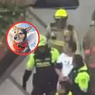 El dueño de Tony, el perro arrojado desde un edificio en Kennedy, rompe el silencio. Revela quién era el inquilino acusado y los momentos de terror.