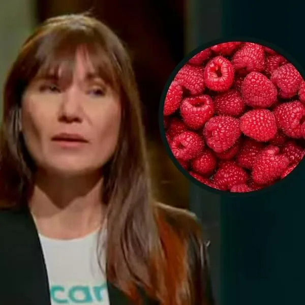 Puede haber cuatro o cinco víctimas: destapan hipótesis en caso de Zulma Guzmán