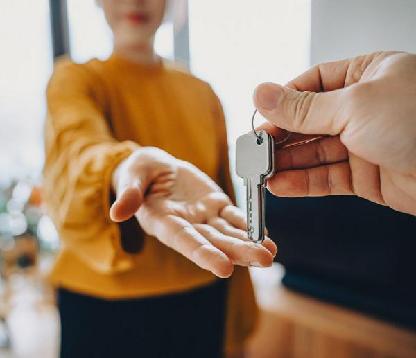 imagen principal home