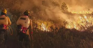 Denuncian incendio en bioparque Wisirare: dejó más de 900 hectáreas afectadas