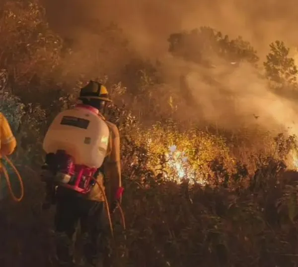 Denuncian incendio en bioparque Wisirare: dejó más de 900 hectáreas afectadas