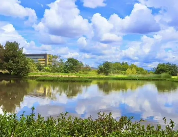 Celebra el Día del Agua con actividades de educación ambiental en Bogotá 