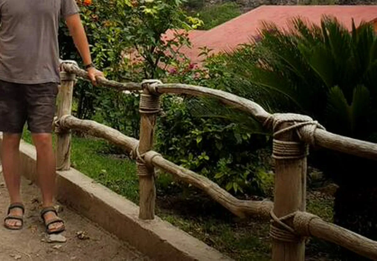 Imagen representativa del artículo