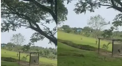 imagen principal de la nota