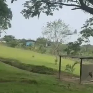 imagen nota inferior