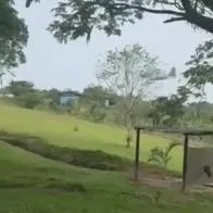 Aparece video de los últimos momentos del avión de la FAC, antes de estrellarse