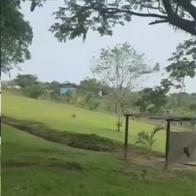 Revelan los nombres de la tripulación del avión accidentado en Putumayo hoy