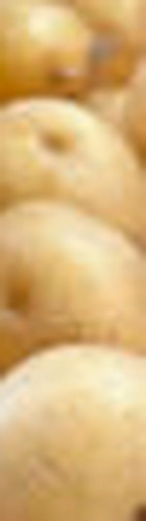 imagen nota inferior