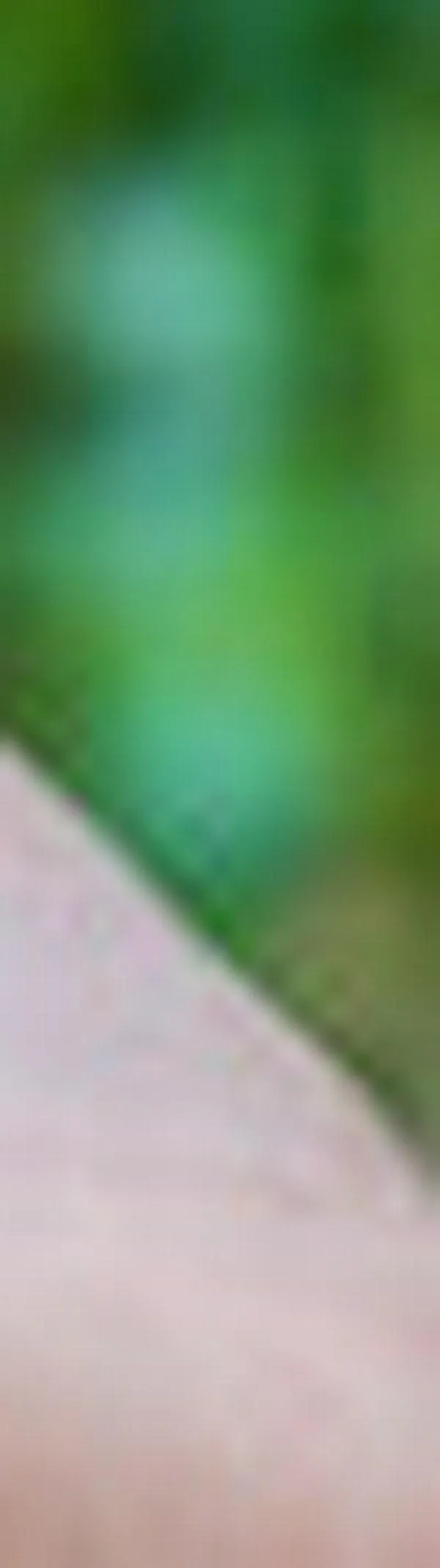 Antioquia, Valle del Cauca y Bolívar: las regiones que más recursos pierden a causa del contrabando de cigarrillos