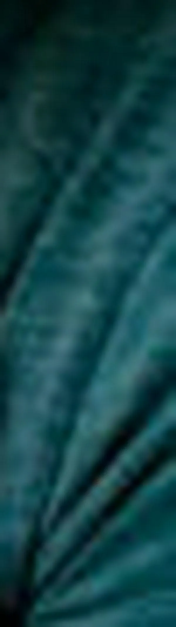 Vacunas contra el sarampión en el Valle del Cauca: autoridades reportan déficit y recomiendan vacunarse antes de viajar