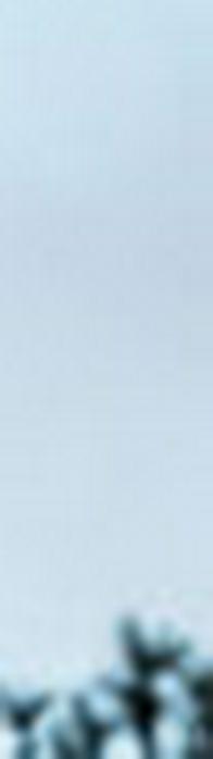 Video de drones con explosivos siembra temor en Jamundí