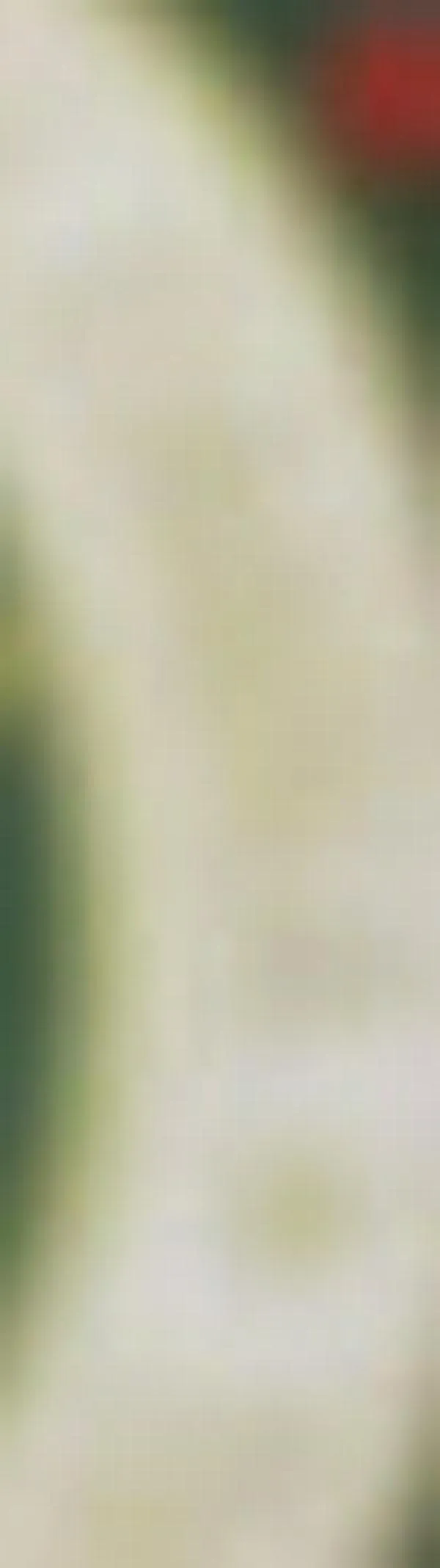 Hombre en extradición fue capturado en Palmira