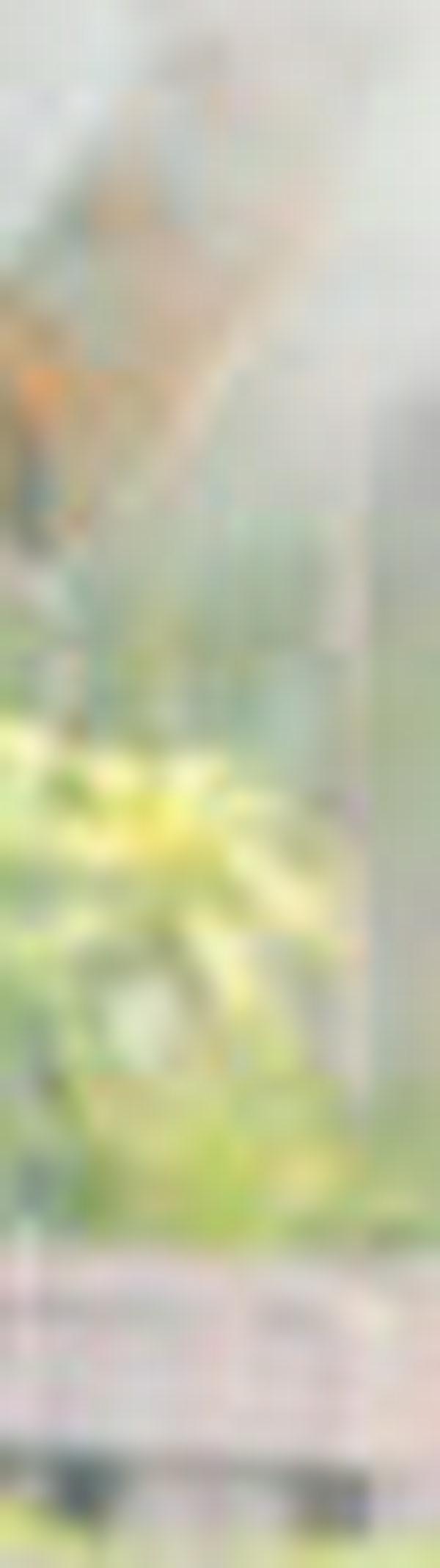 imagen principal home