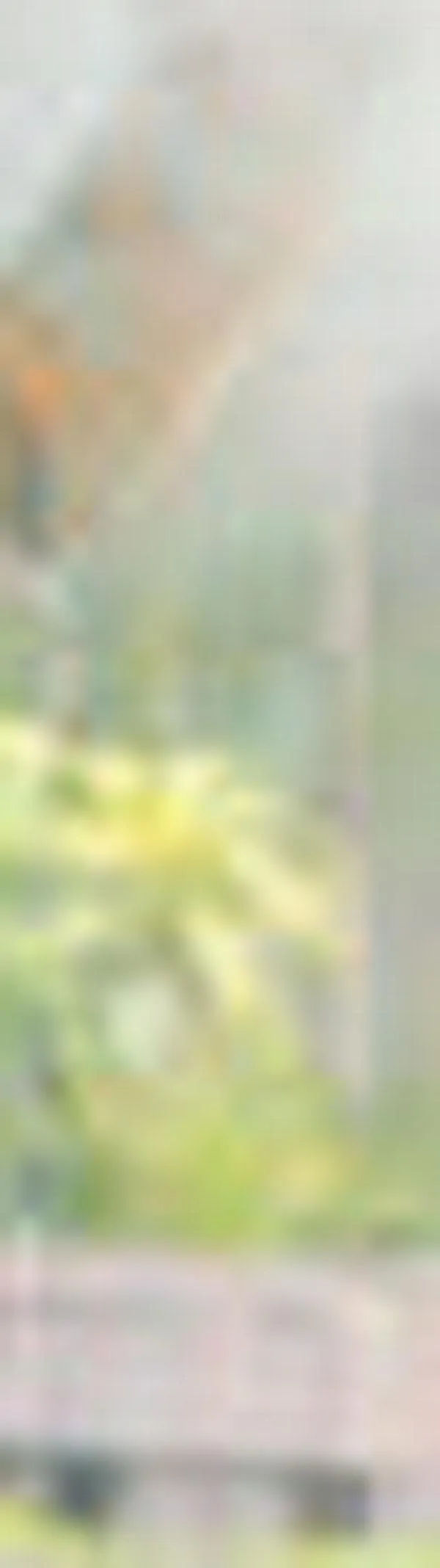 El Parque de los Poetas se puso ‘1A’ para recibir turistas