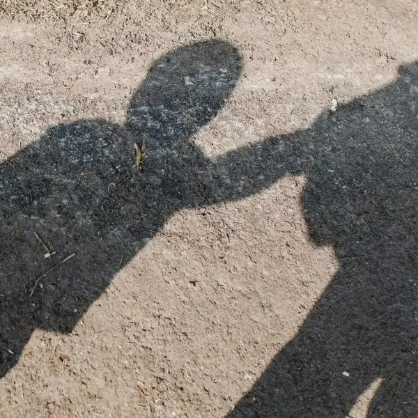 Madre en EE. UU. queda en libertad tras contratar sicario para matar a su hijo