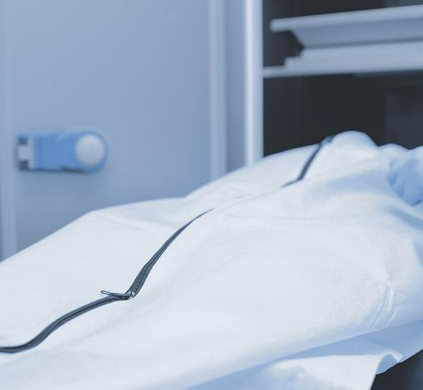 imagen principal home