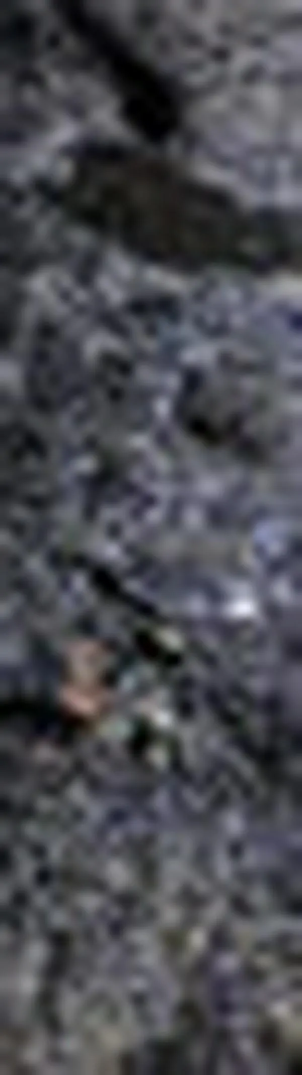 Incendio estructural en Los Lagos deja 41 viviendas afectadas y cerca de 200 damnificados en el oriente de Cali