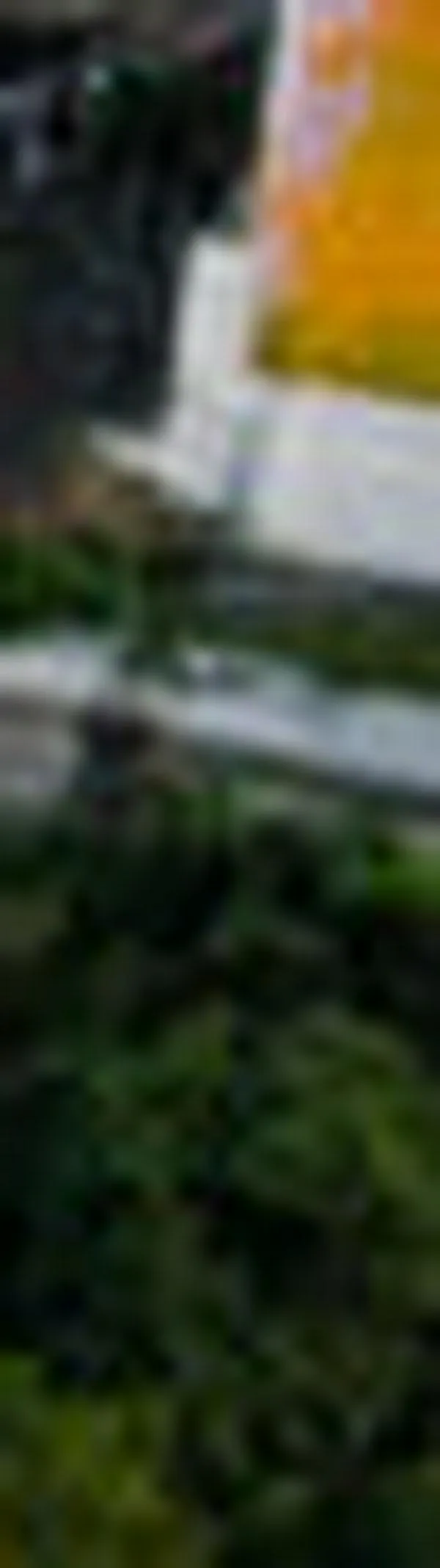 Así avanza la actualización catastral en Cali con más de 455.000 predios intervenidos