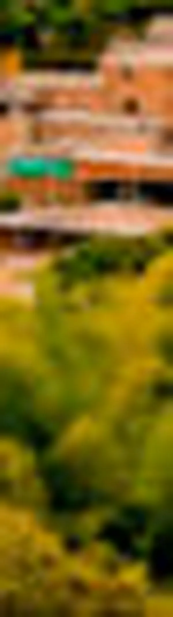 Refuerzan medidas en Caldono tras hostigamiento a policía