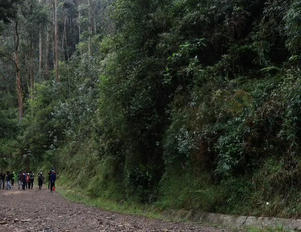 Recomendaciones para visitar los senderos y caminos ecológicos de Bogotá en Semana Santa 2026 
