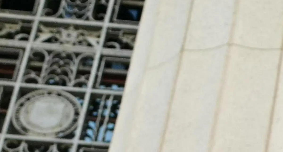 Imagen representativa del artículo