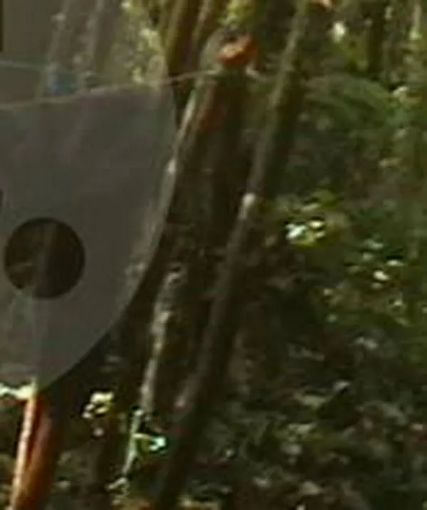 Bombardeo a campamento de ‘Iván Mordisco’ deja cuatro muertos en Guaviare