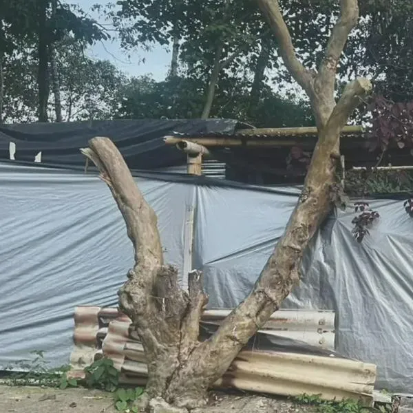 Denuncian que lote de la alcaldía en el barrio Uribe es reclamado por un particular