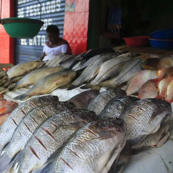Alerta por precio de pescado en Colombia en Semana Santa 2026: el kilo subió 26%