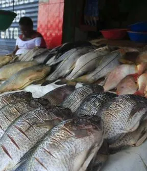 Imagen representativa del artículo