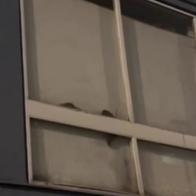 Ratas se tomaron apartamento en Pablo VI (Bogotá) y hay preocupación en vecinos