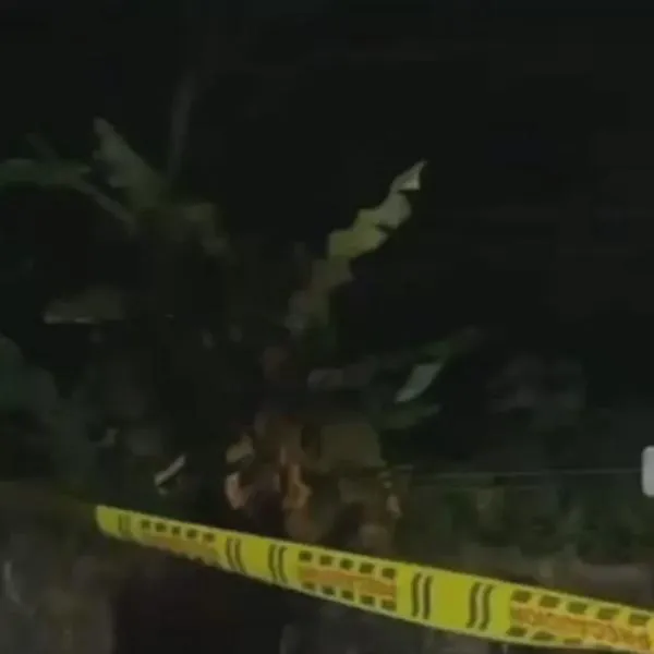 Incautados 322 kilos de marihuana tras persecución policial