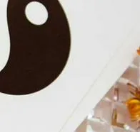 Horóscopo diario gratis para hoy 28 de marzo del 2026