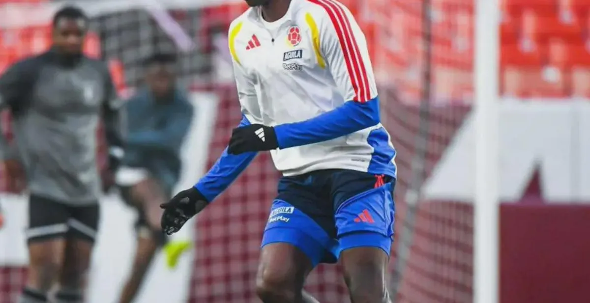 Imagen representativa del artículo