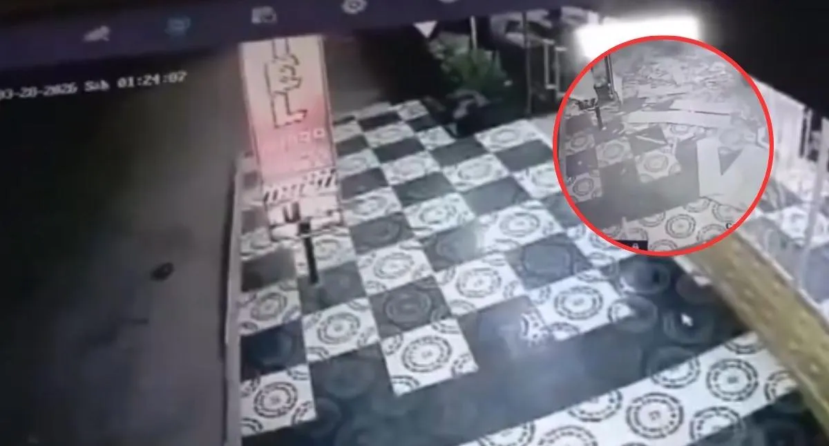 Imagen representativa del artículo