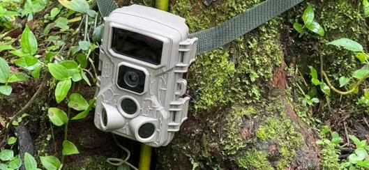 Conoce el ambicioso plan para vigilar la fauna en tiempo real en Cundinamarca 