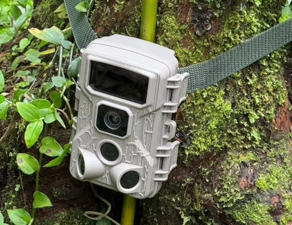 Conoce el ambicioso plan para vigilar la fauna en tiempo real en Cundinamarca 