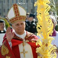 Papa León XIV pide parar guerra en Medio Oriente en misa de Domingo de Ramos hoy