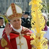 Papa León XIV pide parar guerra en Medio Oriente en misa de Domingo de Ramos hoy