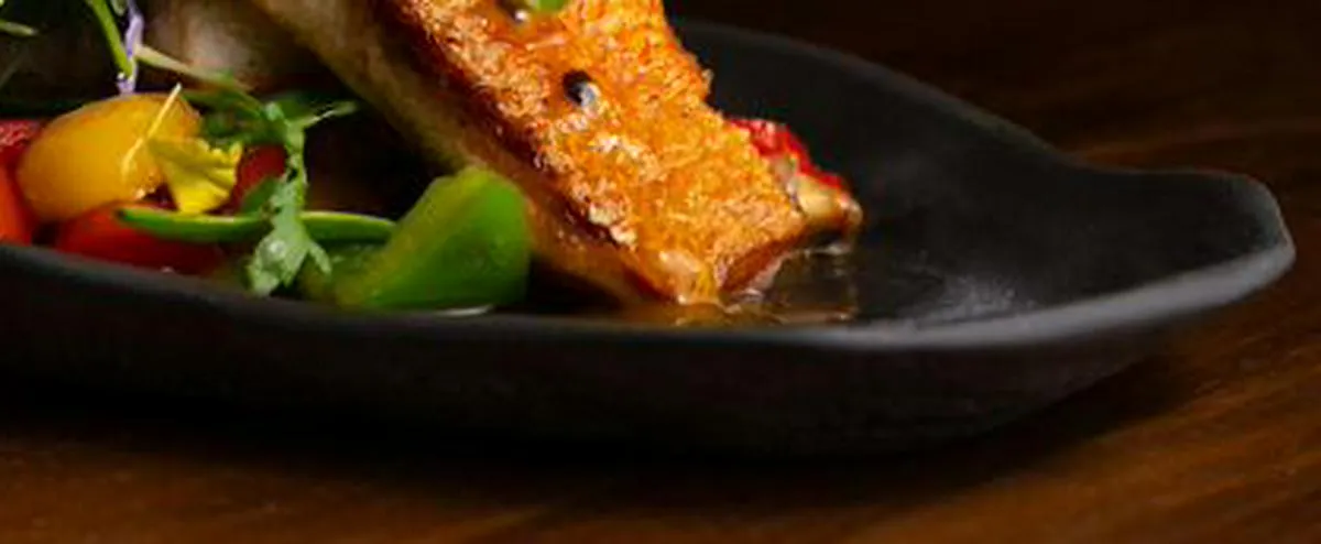 Imagen representativa del artículo