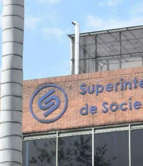 Imagen representativa del artículo