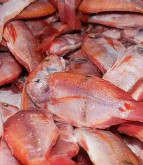 Imagen representativa del artículo