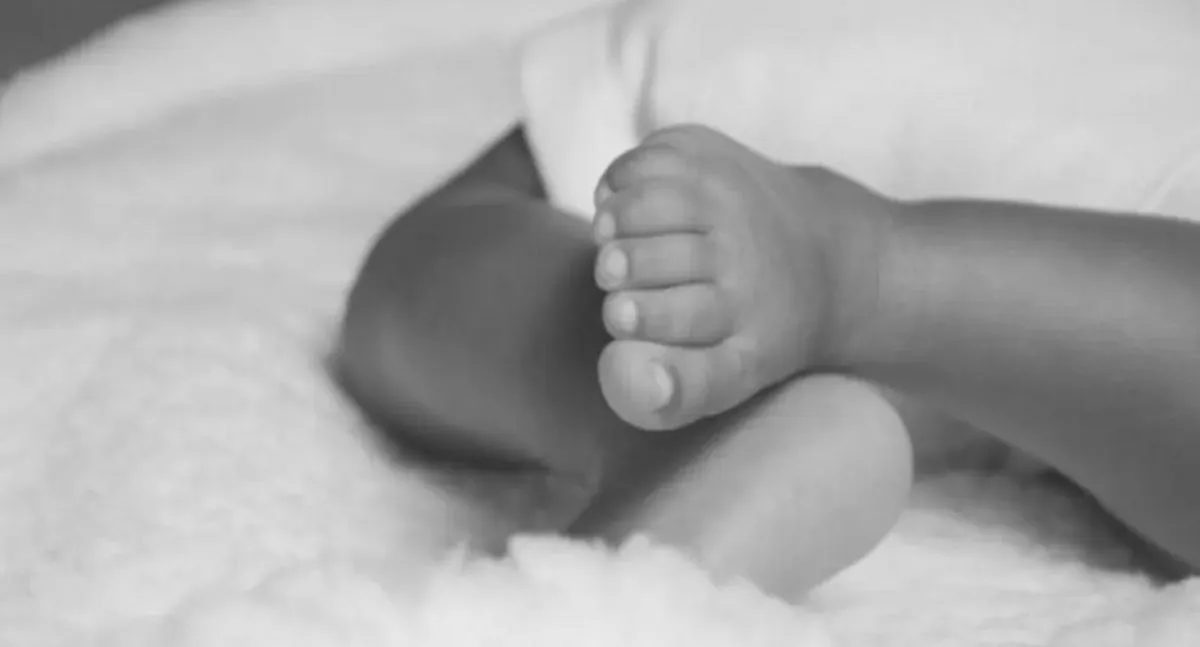 Imagen representativa del artículo