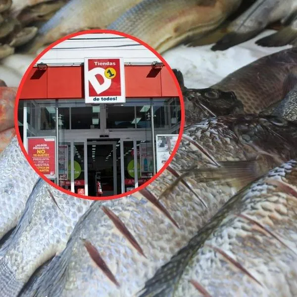 imagen principal home