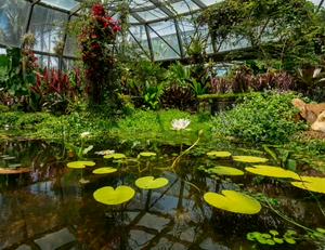 imagen nota inferior