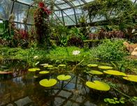 Planes en Bogotá: conoce la agenda cultural y académica del Jardín Botánico para abril de 2026 