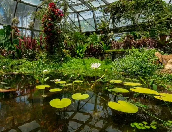 Planes en Bogotá: conoce la agenda cultural y académica del Jardín Botánico para abril de 2026 