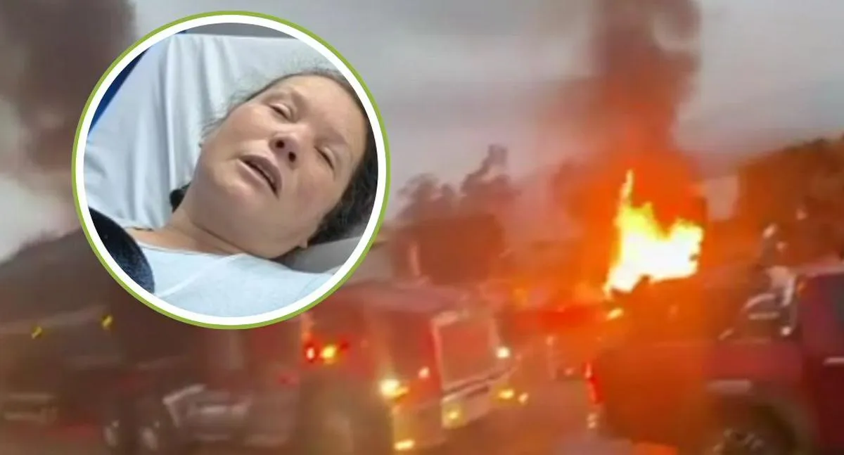 Imagen representativa del artículo